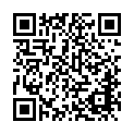 To view this 2017 Chrysler 300 Fairbanks AK from North Star Auto Sales, please scan this QR code with your smartphone or tablet to view the mobile version of this page.