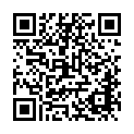 To view this 2016 Ford Taurus Fairbanks AK from North Star Auto Sales, please scan this QR code with your smartphone or tablet to view the mobile version of this page.