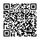To view this 2008 Chevrolet Express Passenger Fairbanks AK from North Star Auto Sales, please scan this QR code with your smartphone or tablet to view the mobile version of this page.