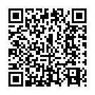 To view this 2013 Dodge Charger Fairbanks AK from North Star Auto Sales, please scan this QR code with your smartphone or tablet to view the mobile version of this page.