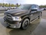 2013 Brown Dodge 1500 Laramie Longhorn Edition Crew Cab SWB 4WD (1C6RR7PT4DS) with an 5.7L V8 OHV 16V engine, 6-Speed Automatic transmission, located at 2630 Philips Field Rd., Fairbanks, AK, 99709, (907) 458-0593, 64.848068, -147.780609- Photo#0