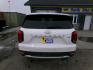 2020 White Hyundai Palisade SE AWD (KM8R1DHE4LU) with an 3.8L V6 DOHC 24V engine, 8A transmission, located at 2630 Philips Field Rd., Fairbanks, AK, 99709, (907) 458-0593, 64.848068, -147.780609 - Photo#3