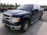 2014 Blue Ford F-150 XL SuperCrew 5.5-ft. Bed 4WD (1FTFW1EF7EF) with an 5.0L V8 engine, 6-Speed Automatic transmission, located at 2630 Philips Field Rd., Fairbanks, AK, 99709, (907) 458-0593, 64.848068, -147.780609 - Photo#0