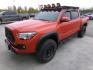 2016 Orange Toyota Tacoma SR5 Double Cab Long Bed V6 5AT 4WD (5TFCZ5ANXGX) with an 3.6L V6 DOHC 24V engine, 5A transmission, located at 2630 Philips Field Rd., Fairbanks, AK, 99709, (907) 458-0593, 64.848068, -147.780609 - Photo#0