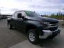 2019 Blue Chevrolet Silverado 1500 LT Crew Cab 4WD (3GCUYDED7KG) with an 5.3L V8 OHV 16V engine, 6A transmission, located at 2630 Philips Field Rd., Fairbanks, AK, 99709, (907) 458-0593, 64.848068, -147.780609- Photo#0