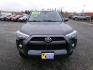 2019 Grey Toyota 4Runner SR5 4WD (JTEBU5JR1K5) with an 4.0L V6 DOHC 24V engine, 5A transmission, located at 2630 Philips Field Rd., Fairbanks, AK, 99709, (907) 458-0593, 64.848068, -147.780609 - Photo#1