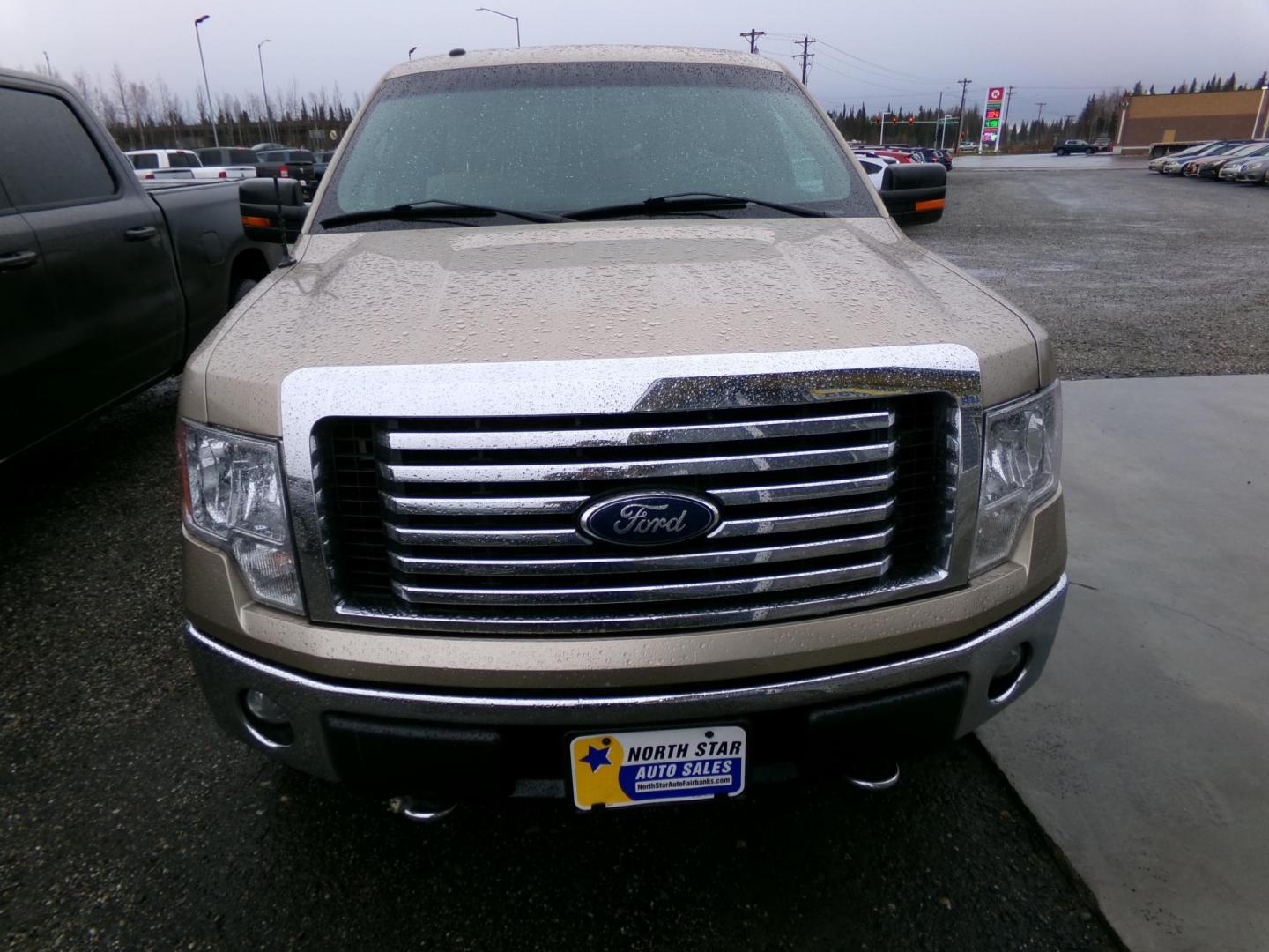 2011 Gold Ford F-150 FX4 SuperCrew 5.5-ft. Bed 4WD (1FTFW1EF2BF) with an 5.0L V8 engine, 4-Speed Automatic transmission, located at 2630 Philips Field Rd., Fairbanks, AK, 99709, (907) 458-0593, 64.848068, -147.780609 - Photo#1