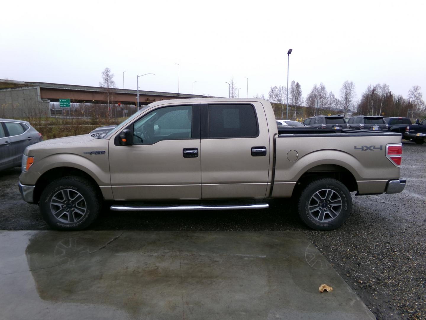 2011 Gold Ford F-150 FX4 SuperCrew 5.5-ft. Bed 4WD (1FTFW1EF2BF) with an 5.0L V8 engine, 4-Speed Automatic transmission, located at 2630 Philips Field Rd., Fairbanks, AK, 99709, (907) 458-0593, 64.848068, -147.780609 - Photo#2