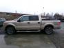 2011 Gold Ford F-150 FX4 SuperCrew 5.5-ft. Bed 4WD (1FTFW1EF2BF) with an 5.0L V8 engine, 4-Speed Automatic transmission, located at 2630 Philips Field Rd., Fairbanks, AK, 99709, (907) 458-0593, 64.848068, -147.780609 - Photo#2