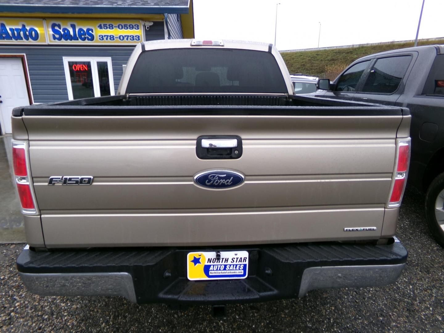 2011 Gold Ford F-150 FX4 SuperCrew 5.5-ft. Bed 4WD (1FTFW1EF2BF) with an 5.0L V8 engine, 4-Speed Automatic transmission, located at 2630 Philips Field Rd., Fairbanks, AK, 99709, (907) 458-0593, 64.848068, -147.780609 - Photo#3