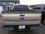 2011 Gold Ford F-150 FX4 SuperCrew 5.5-ft. Bed 4WD (1FTFW1EF2BF) with an 5.0L V8 engine, 4-Speed Automatic transmission, located at 2630 Philips Field Rd., Fairbanks, AK, 99709, (907) 458-0593, 64.848068, -147.780609 - Photo#3
