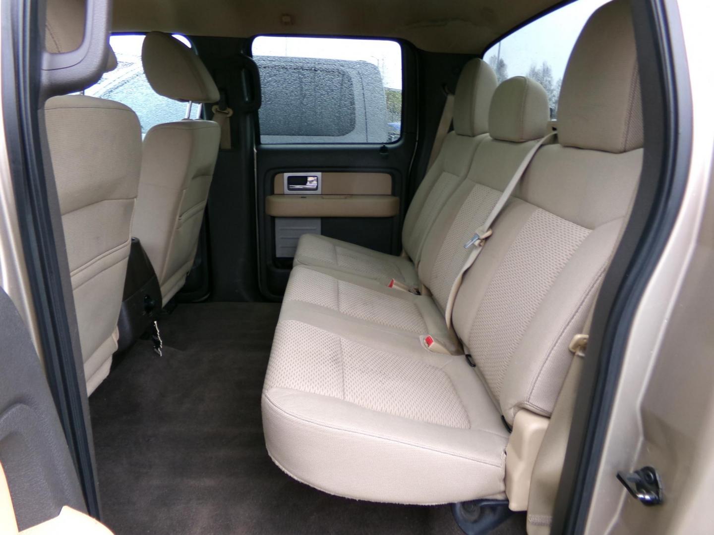2011 Gold Ford F-150 FX4 SuperCrew 5.5-ft. Bed 4WD (1FTFW1EF2BF) with an 5.0L V8 engine, 4-Speed Automatic transmission, located at 2630 Philips Field Rd., Fairbanks, AK, 99709, (907) 458-0593, 64.848068, -147.780609 - Photo#5