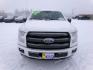 2016 White /Black Ford F-150 XLT SuperCrew 6.5-ft. Bed 4WD (1FTEW1EGXGF) with an 3.5L V6 TURBO engine, 6A transmission, located at 2630 Philips Field Rd., Fairbanks, AK, 99709, (907) 458-0593, 64.848068, -147.780609 - Photo#1