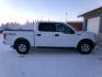 2018 White Ford F-150 XLT SuperCrew 5.5-ft. Bed 4WD (1FTEW1EG3JF) with an 3.5L V6 TURBO engine, 6A transmission, located at 2630 Philips Field Rd., Fairbanks, AK, 99709, (907) 458-0593, 64.848068, -147.780609 - Photo#2