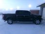 2014 Black Ford F-150 SuperCrew 5.5-ft. Bed 4WD (1FTFW1ET8EF) with an 3.5L V6 TURBO engine, 6-Speed Automatic transmission, located at 2630 Philips Field Rd., Fairbanks, AK, 99709, (907) 458-0593, 64.848068, -147.780609 - Photo#2