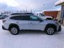 2025 Silver Subaru Outback Premium (4S4BTAFC1S3) with an 2.5L H4 DOHC 16V engine, CVT transmission, located at 2630 Philips Field Rd., Fairbanks, AK, 99709, (907) 458-0593, 64.848068, -147.780609 - Photo#2
