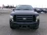 2010 Black Ford F-150 Lariat SuperCrew 5.5-ft. Bed 4WD (1FTFW1EV2AF) with an 5.4L V8 SOHC 24V FFV engine, 4-Speed Automatic transmission, located at 2630 Philips Field Rd., Fairbanks, AK, 99709, (907) 458-0593, 64.848068, -147.780609 - Photo#1