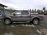 2013 Grey Ford F-150 XLT SuperCrew 6.5-ft. Bed 4WD (1FTFW1ET0DK) with an 3.5L V6 TURBO engine, 6-Speed Automatic transmission, located at 2630 Philips Field Rd., Fairbanks, AK, 99709, (907) 458-0593, 64.848068, -147.780609 - Photo#2
