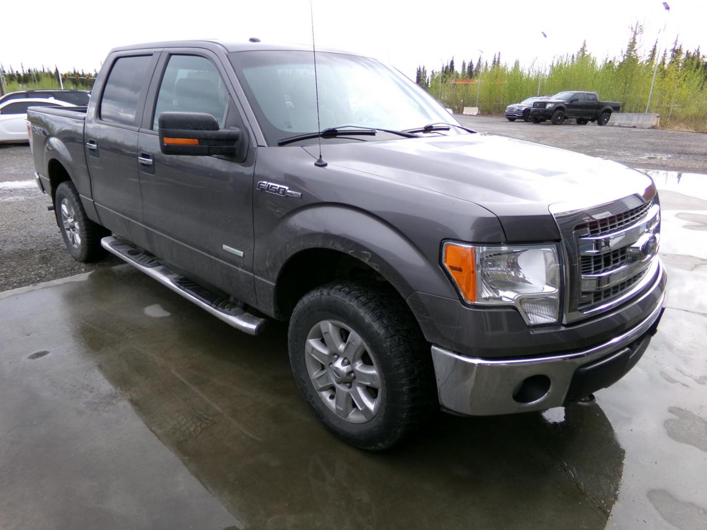 2013 Grey Ford F-150 XLT SuperCrew 6.5-ft. Bed 4WD (1FTFW1ET0DK) with an 3.5L V6 TURBO engine, 6-Speed Automatic transmission, located at 2630 Philips Field Rd., Fairbanks, AK, 99709, (907) 458-0593, 64.848068, -147.780609 - Photo#0