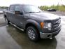 2013 Grey Ford F-150 XLT SuperCrew 6.5-ft. Bed 4WD (1FTFW1ET0DK) with an 3.5L V6 TURBO engine, 6-Speed Automatic transmission, located at 2630 Philips Field Rd., Fairbanks, AK, 99709, (907) 458-0593, 64.848068, -147.780609 - Photo#0