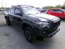 2017 Grey Toyota Tacoma SR5 Double Cab Long Bed V6 6AT 4WD (3TMCZ5AN5HM) with an 3.6L V6 DOHC 24V engine, 6A transmission, located at 2630 Philips Field Rd., Fairbanks, AK, 99709, (907) 458-0593, 64.848068, -147.780609 - Photo#0