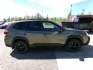 2022 Green Subaru Forester Sport (JF2SKAMC9NH) with an 2.5L H4 SOHC 16V engine, CVT transmission, located at 2630 Philips Field Rd., Fairbanks, AK, 99709, (907) 458-0593, 64.848068, -147.780609- Photo#2