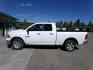 2017 White Dodge 1500 SLT Quad Cab 4WD (1C6RR7GGXHS) with an 3.6L V6 DOHC 24V FFV engine, 8A transmission, located at 2630 Philips Field Rd., Fairbanks, AK, 99709, (907) 458-0593, 64.848068, -147.780609 - Photo#2