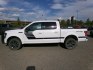 2018 White Ford F-150 XLT SuperCrew 5.5-ft. Bed 4WD (1FTEW1EG3JF) with an 3.5L V6 TURBO engine, 6A transmission, located at 2630 Philips Field Rd., Fairbanks, AK, 99709, (907) 458-0593, 64.848068, -147.780609- Photo#2