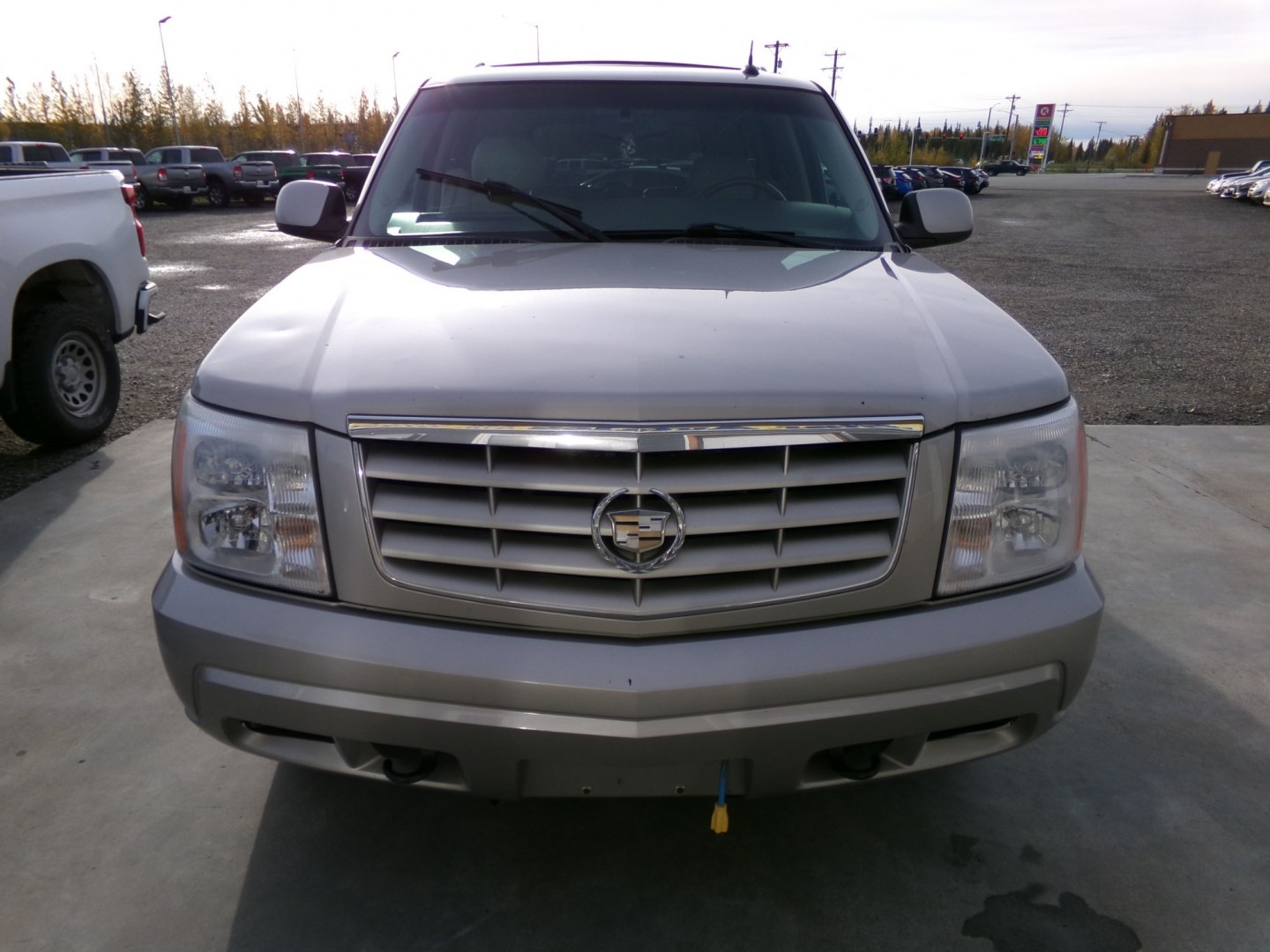 2005 Gold Cadillac Escalade AWD (1GYEK63N25R) with an 6.0L V8 OHV 16V engine, 4A OD transmission, located at 2630 Philips Field Rd., Fairbanks, AK, 99709, (907) 458-0593, 64.848068, -147.780609- Photo#1