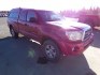 2009 Red Toyota Tacoma Access Cab V6 4WD (5TEUU42N79Z) with an 4.0L V6 DOHC 24V engine, Automatic transmission, located at 2630 Philips Field Rd., Fairbanks, AK, 99709, (907) 458-0593, 64.848068, -147.780609- Photo#0