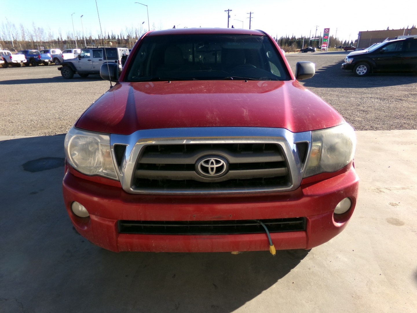 2009 Red Toyota Tacoma Access Cab V6 4WD (5TEUU42N79Z) with an 4.0L V6 DOHC 24V engine, Automatic transmission, located at 2630 Philips Field Rd., Fairbanks, AK, 99709, (907) 458-0593, 64.848068, -147.780609- Photo#1