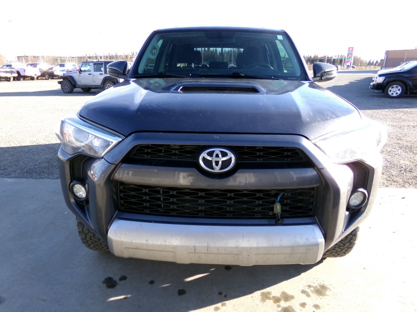 2018 Grey Toyota 4Runner Trail 4WD (JTEBU5JR9J5) with an 4.0L V6 DOHC 24V engine, 5A transmission, located at 2630 Philips Field Rd., Fairbanks, AK, 99709, (907) 458-0593, 64.848068, -147.780609- Photo#1