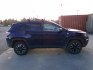 2019 Blue Jeep Compass Trailhawk 4WD (3C4NJDDB6KT) with an 2.4L L4 DOHC 16V engine, 9A transmission, located at 2630 Philips Field Rd., Fairbanks, AK, 99709, (907) 458-0593, 64.848068, -147.780609- Photo#2